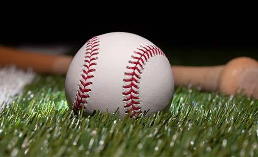 Baseball bat and ball on grass