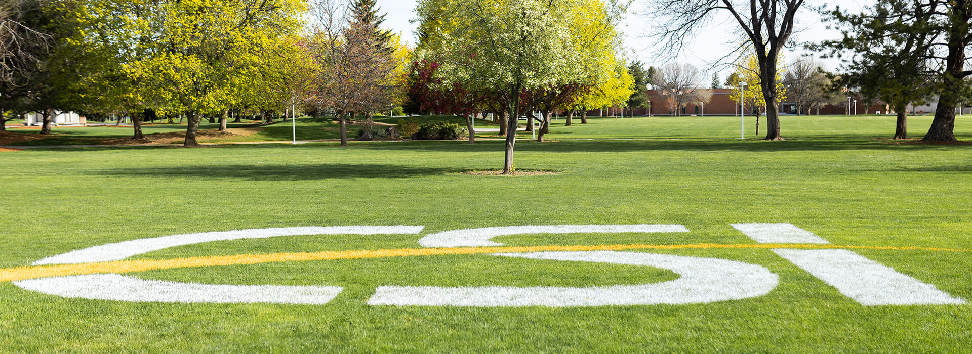 CSI logo painted on the grass with trees and buildings in the background