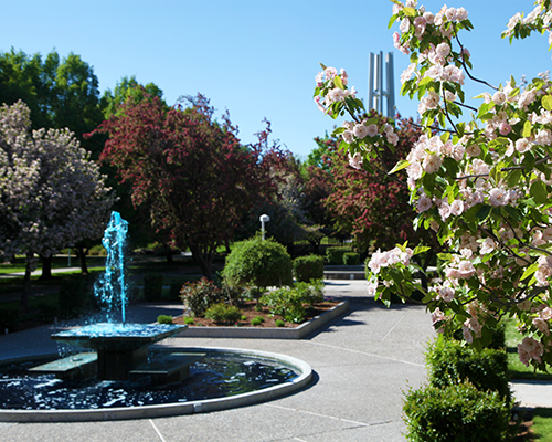 a photo of the csi fountain and garden