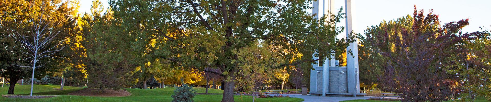 csi campus lawn with trees and fountain
