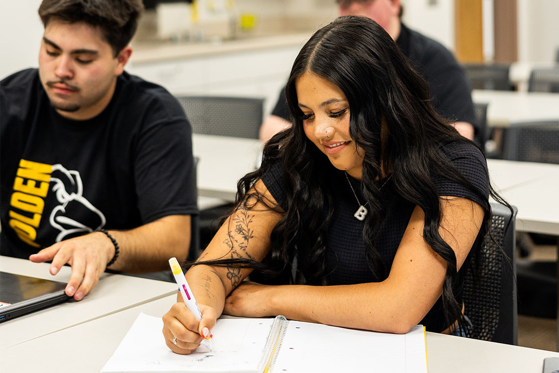 students working on spanish