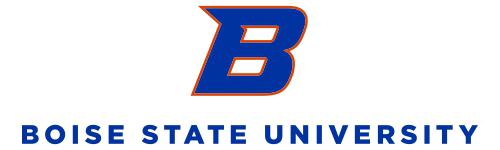 bsu logo