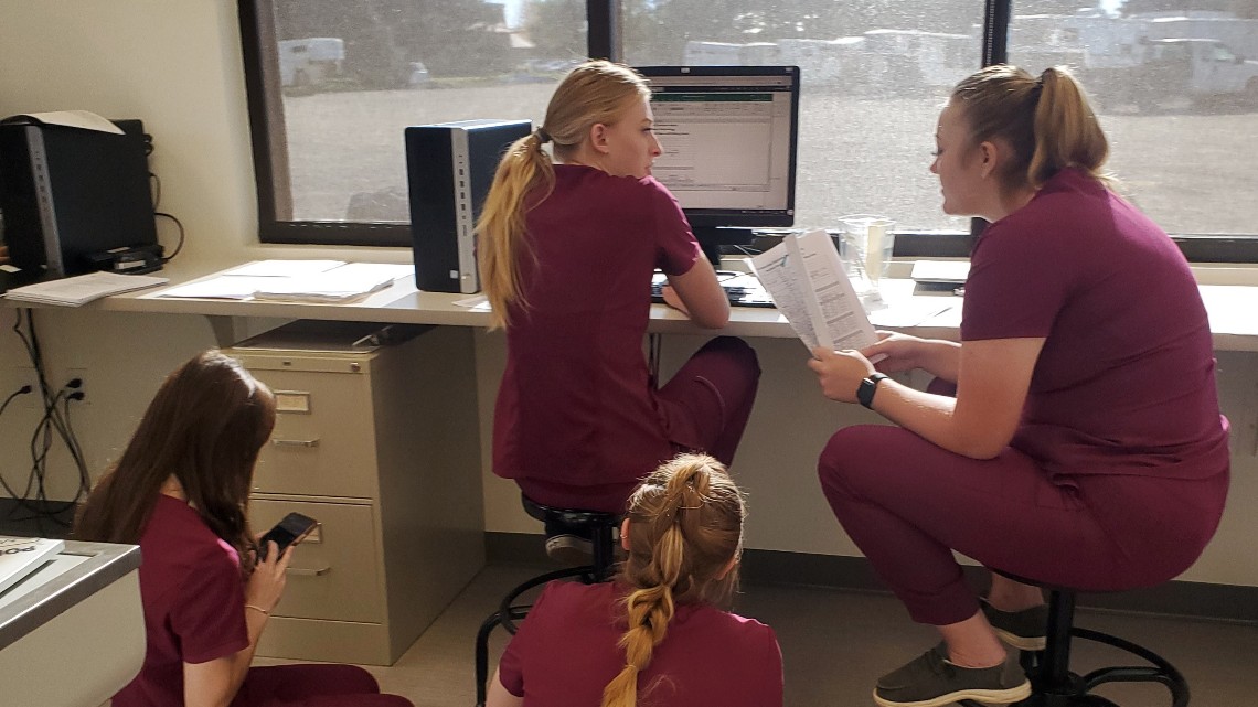 Vet tech students working together around a computer