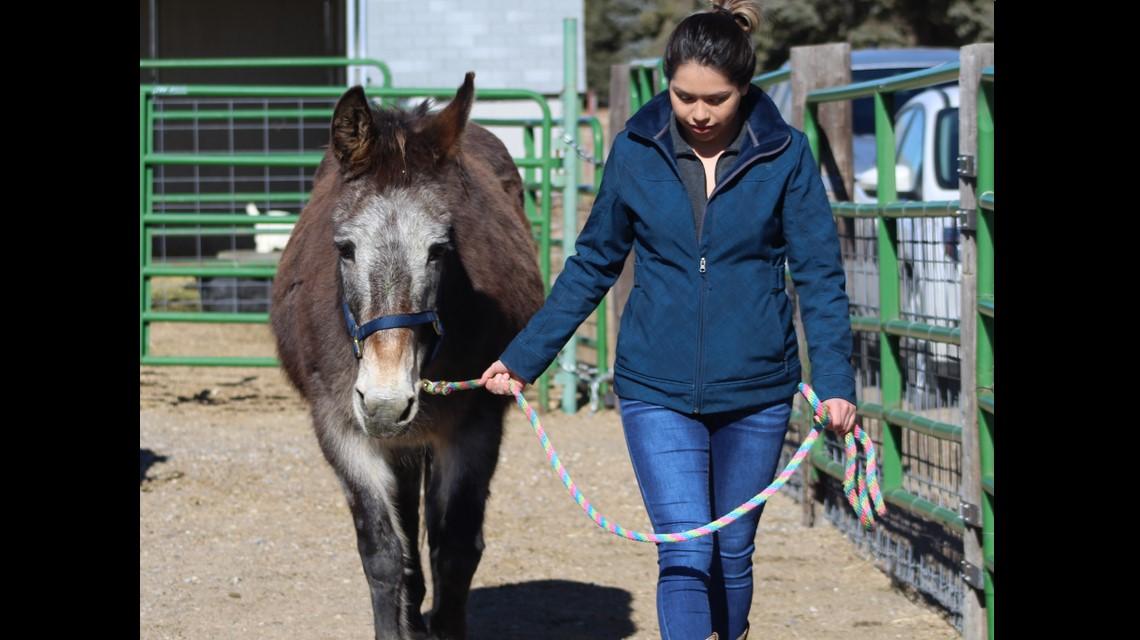 student with a horse