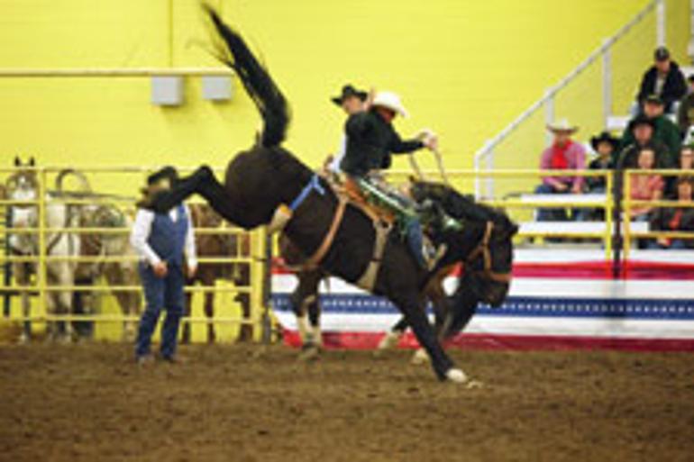 expo center rodeo horse