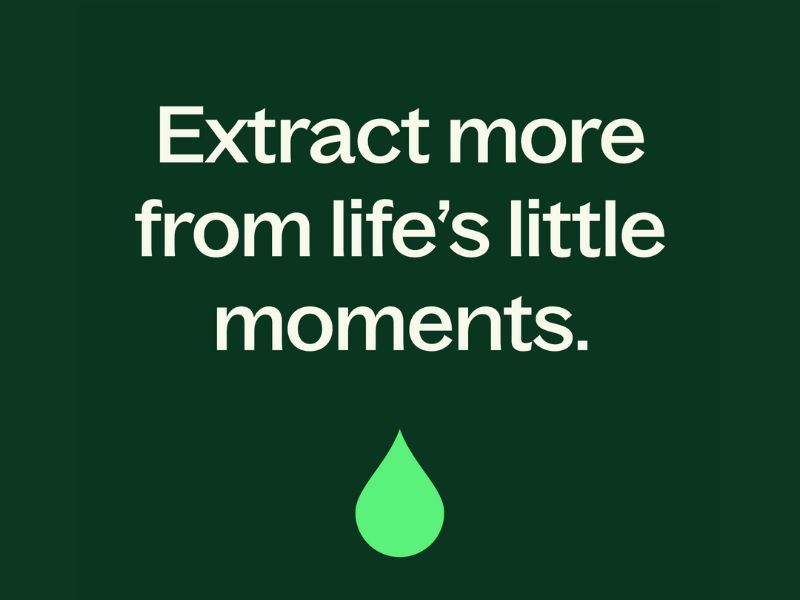 plant therapy logo
