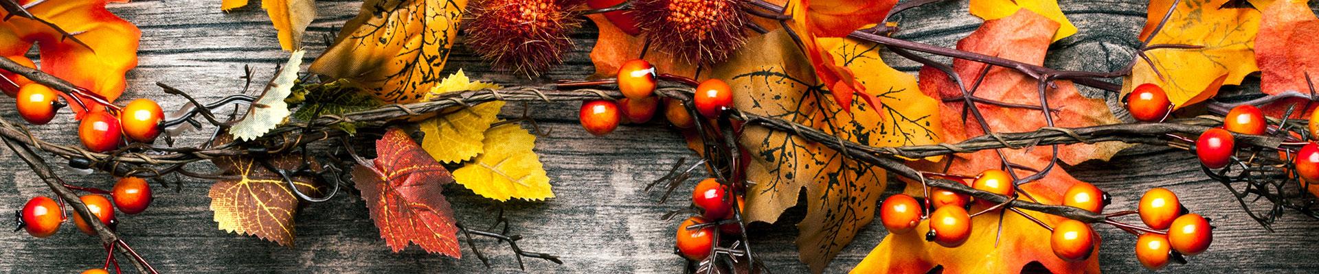 fall leaves and berries