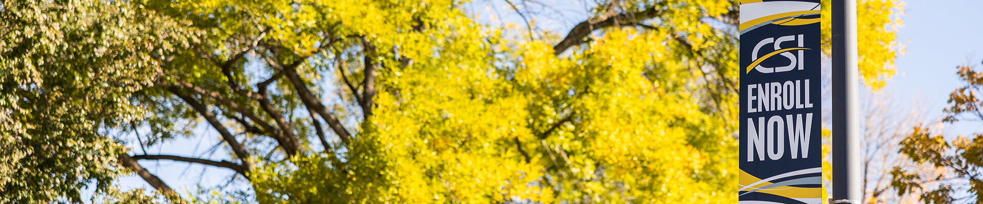 A banner reading "Enroll Now" hanging along a tree-lined path