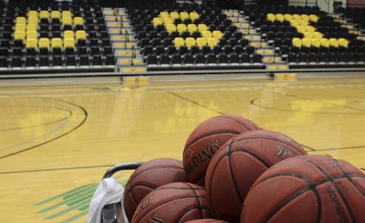 CSI Basketball Court