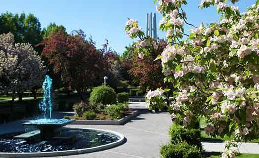 A spring time photo of the CSI Fountain Plaza with water running in the fountain. 