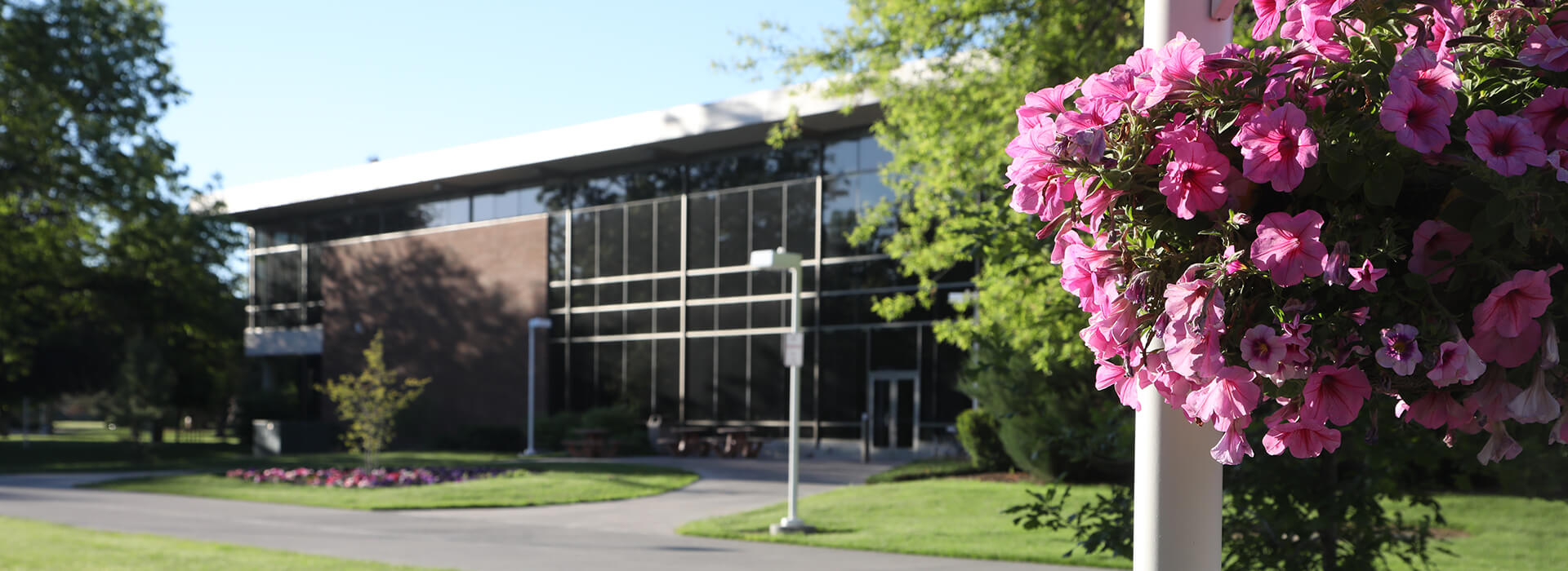 Image of back of Student Union Building