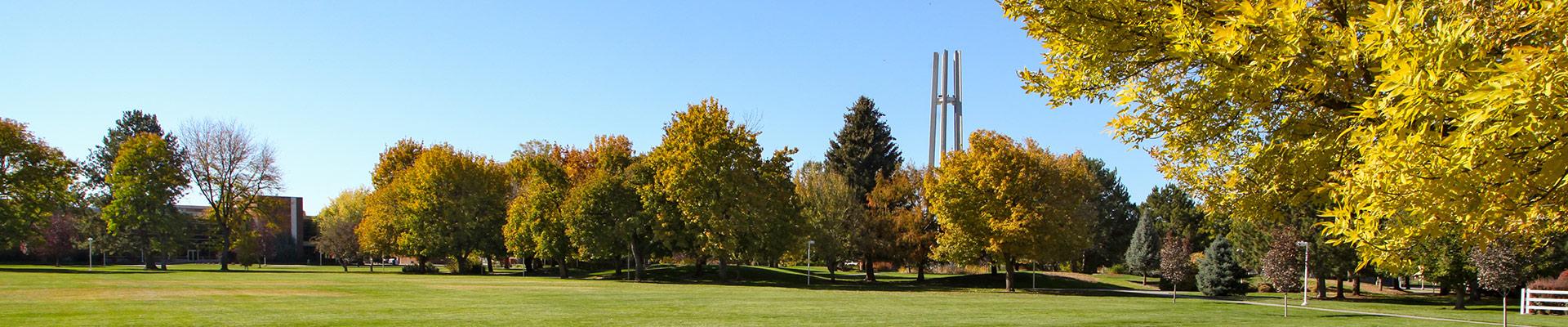 Campus Trees