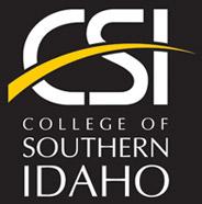 CSI Academic Logo - Reverse - Vertical