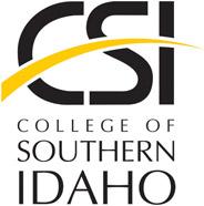 CSI Academic Logo - Standard - Vertical