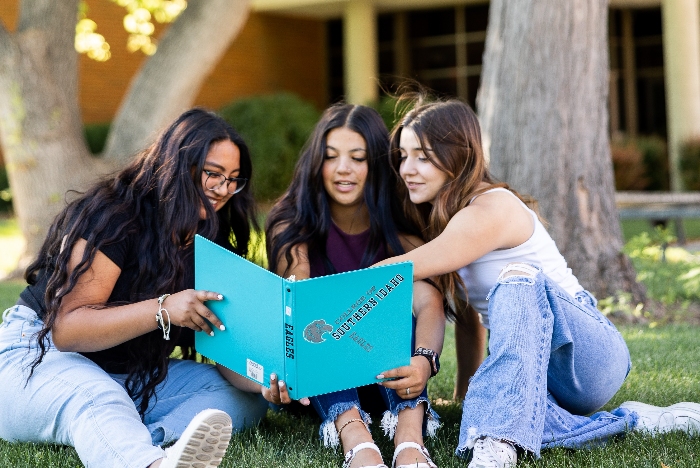 Three students study under the trees on campus