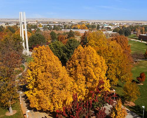 bell tower from the sky