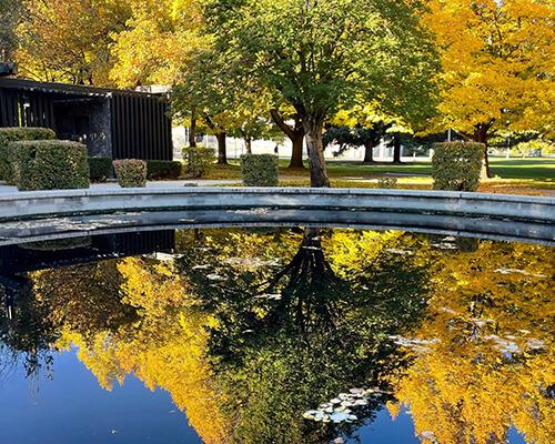 A fountain reflection of trees in the background