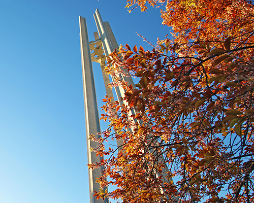 bell tower, fall leaves