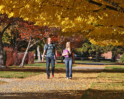 Students walking  during Fall season