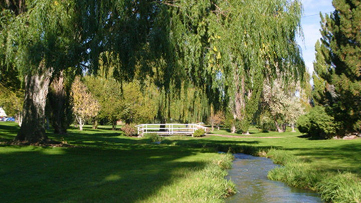 Students in the cafeteria 