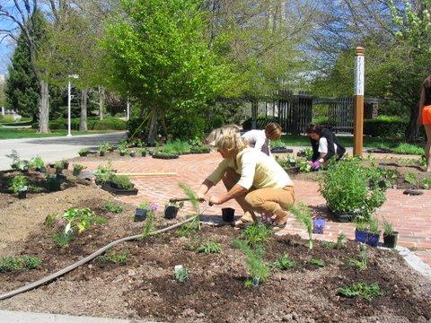 Herb Garden at CSI