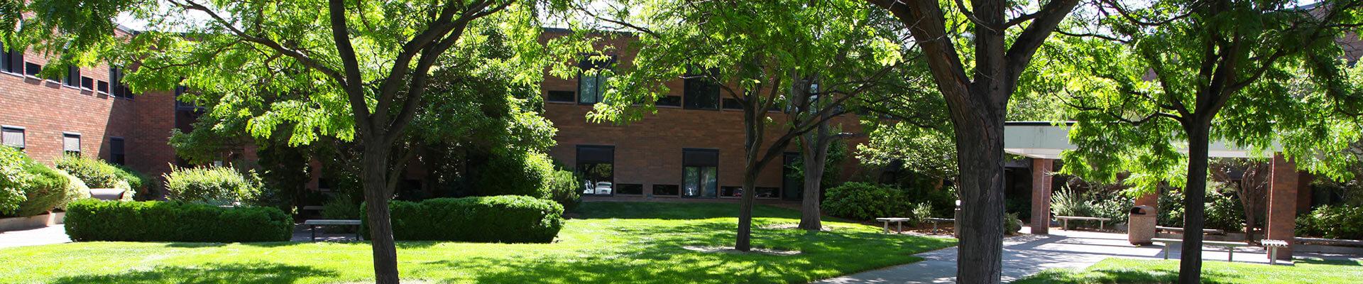 eagle hall dormitory, green trees, brick school housing spring/summer time