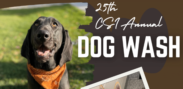 25th CSI Annual Dog Wash