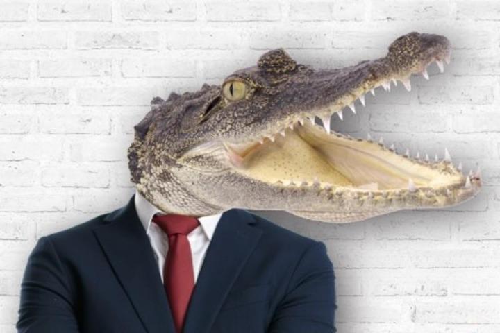 A businessman with an alligator head
