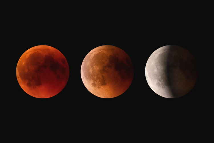 Three of the Lunar Eclipse phases